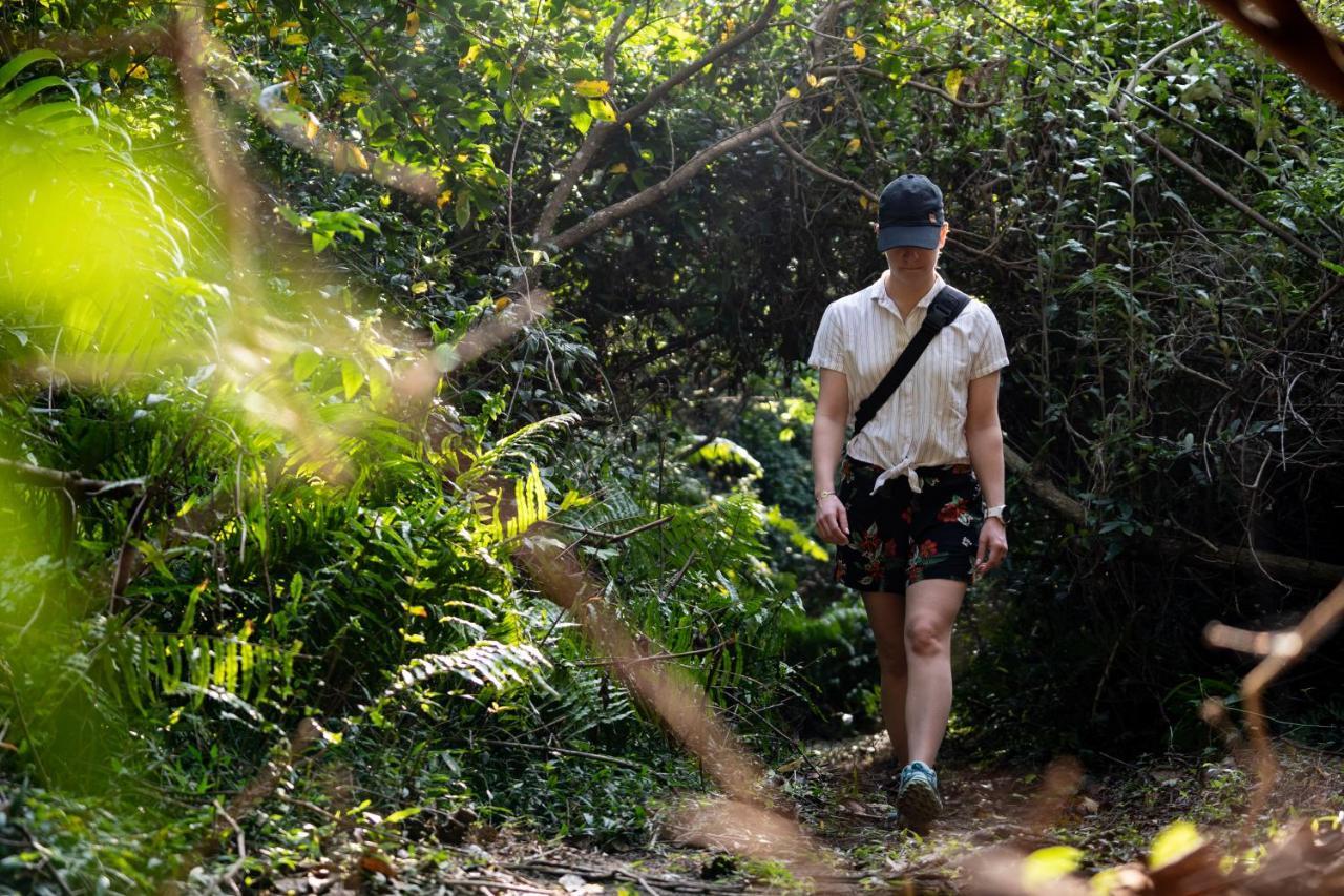 Mtunzini Forest Lodge Self Catering Resort Eksteriør billede