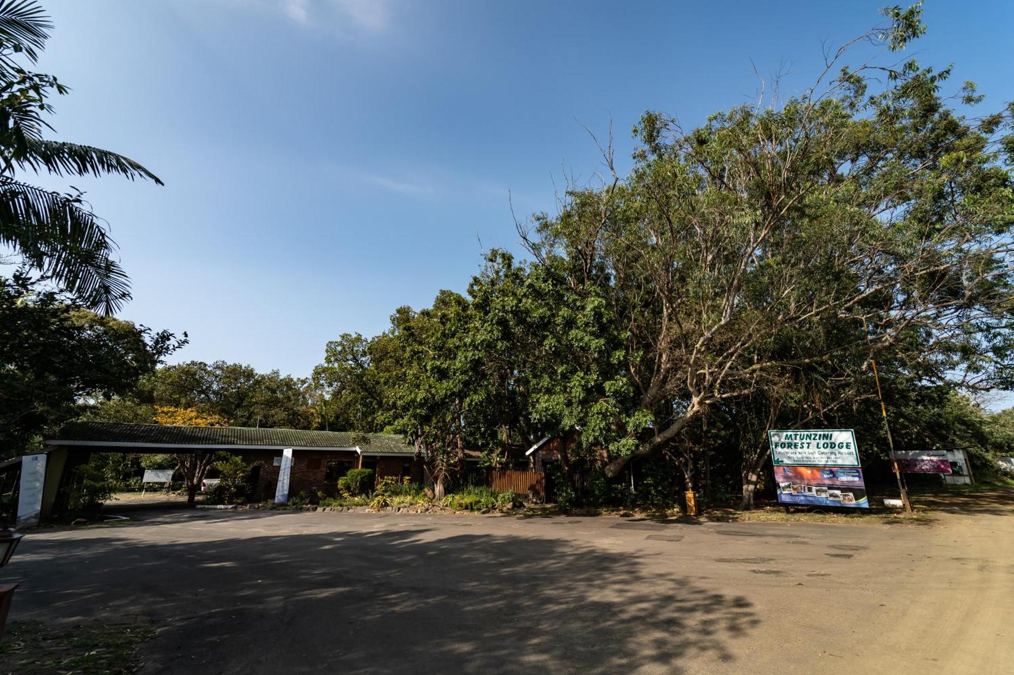 Mtunzini Forest Lodge Self Catering Resort Eksteriør billede