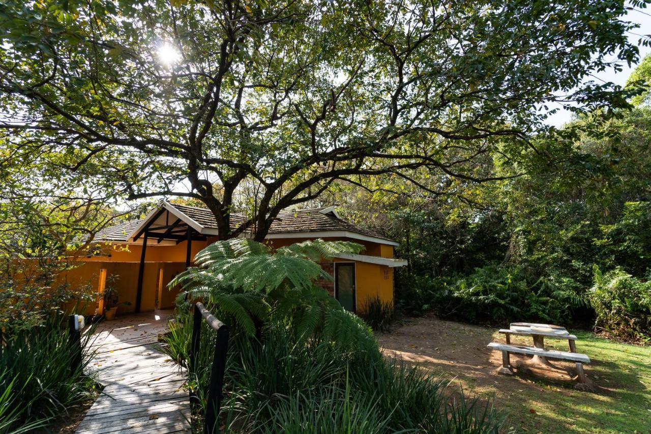 Mtunzini Forest Lodge Self Catering Resort Eksteriør billede