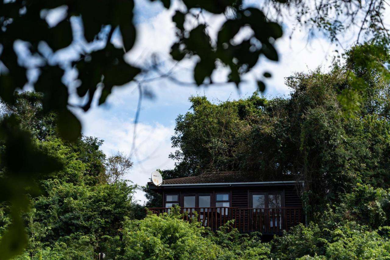 Mtunzini Forest Lodge Self Catering Resort Eksteriør billede