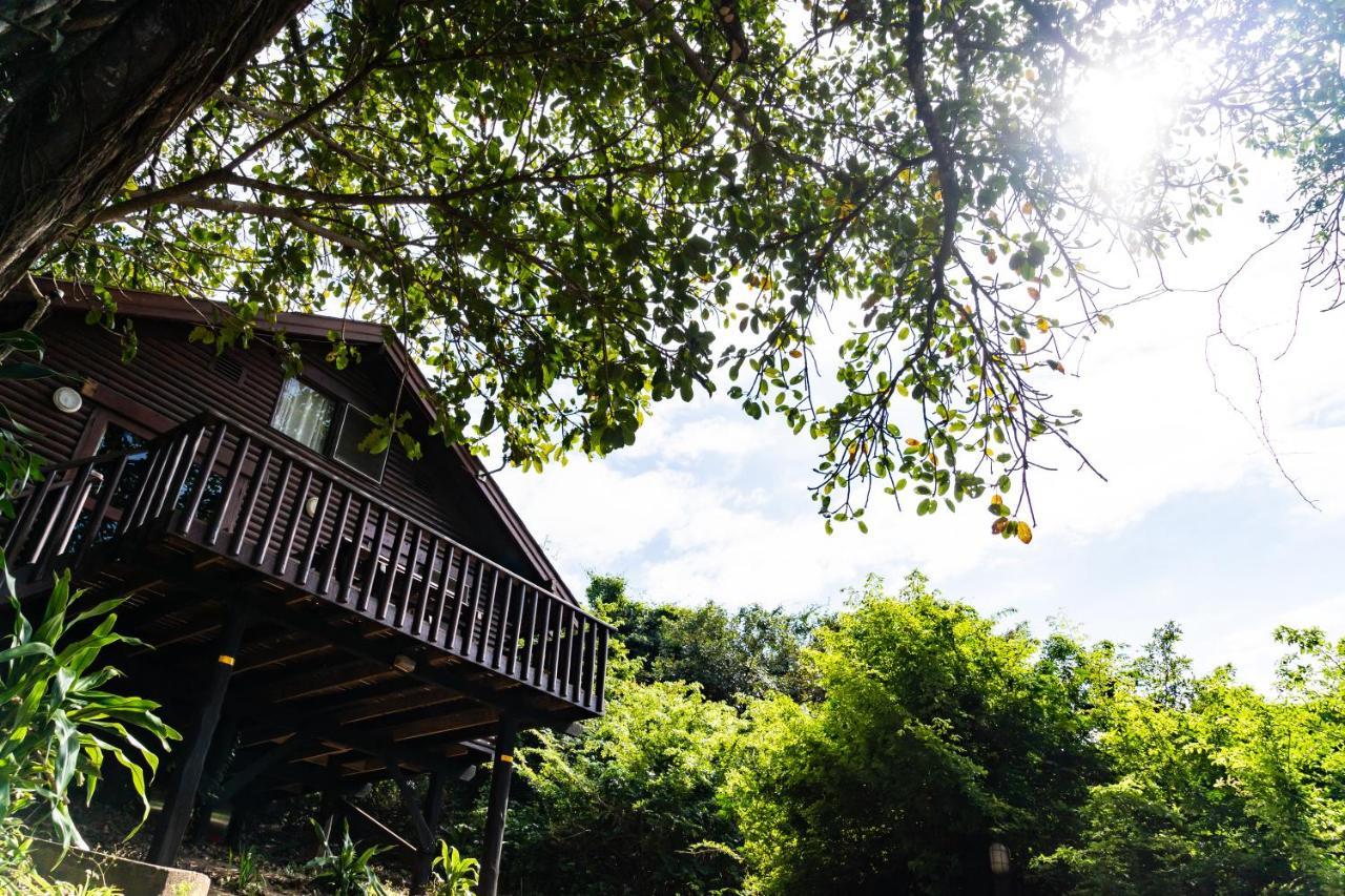 Mtunzini Forest Lodge Self Catering Resort Eksteriør billede