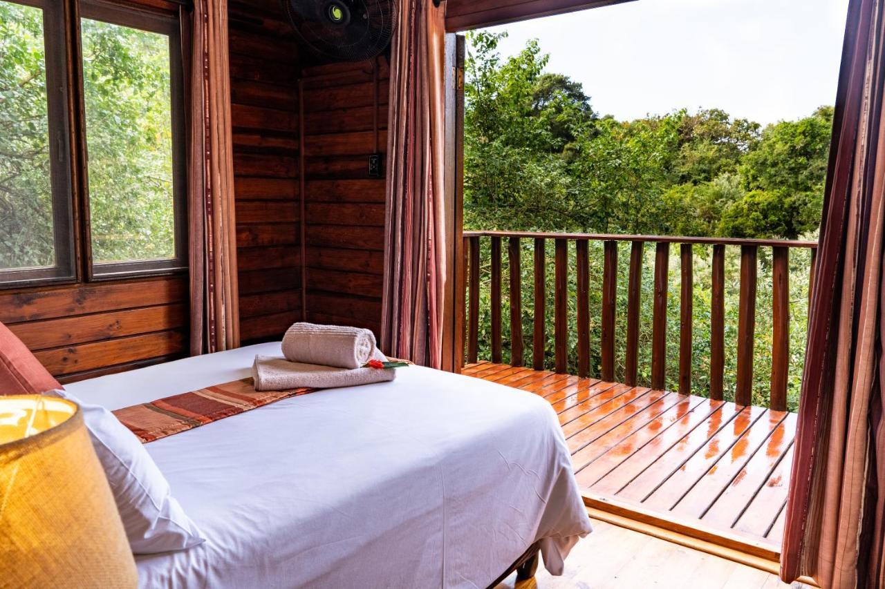 Mtunzini Forest Lodge Self Catering Resort Eksteriør billede