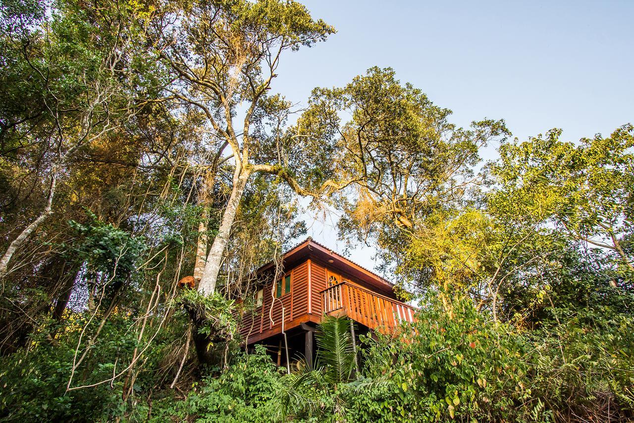 Mtunzini Forest Lodge Self Catering Resort Eksteriør billede